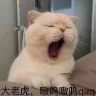 Zer0 - Twitter Profile Picture of Zer0 (@Zer0_lee) on Twitter