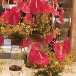 Profile Picture of 이명길 (@fashionchain5050) on Instagram