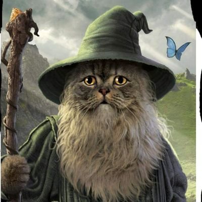 Profile Picture of Matthew Culley (@mattculley8) on Twitter