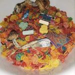 Profile Picture of Jacob Glasgow (@northwest_youngsters) on Instagram