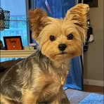 Profile Picture of Cameron Howell (@cameron.howell.1293) on Facebook