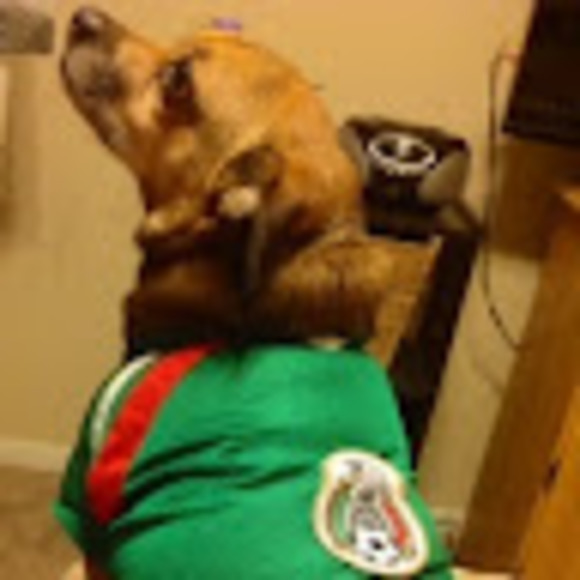 Profile Picture of Maritza Canavati (@mrcanavati) on Poshmark