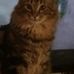 Profile Picture of Sherry Kopp (@sherry.kopp1) on Facebook
