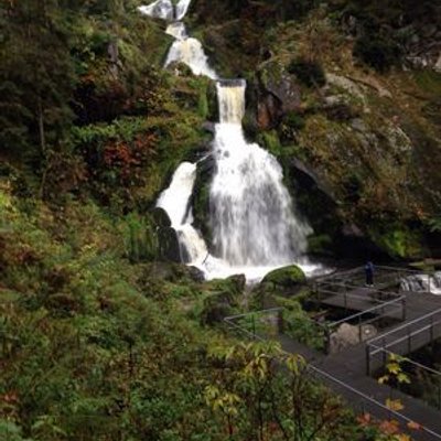 Profile Picture of Eman Awad (@emanawad124) on Twitter