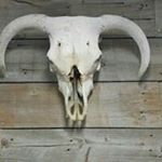 Profile Picture of Andy Hofer (@hoferandy) on Instagram