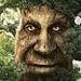 Profile Picture of Alexander Kulwikowski (@alexanderkulwikowski) on Pinterest