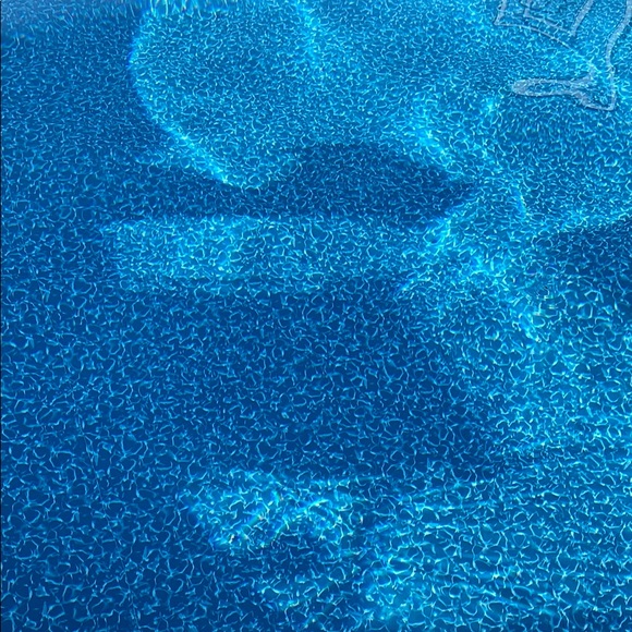 Profile Picture of Rich Gasbarro (@rgasbarro) on Poshmark