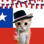 Profile Picture of Ariel Rojas (@_ariel._.rojas_) on Instagram