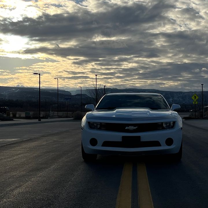 Profile Picture of Stephen (@cammythemaro) on Tiktok