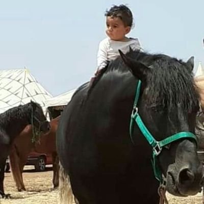 Profile Picture of Jaafar Adam (@JaafarAdam9) on Twitter