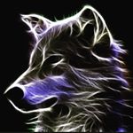 Profile Picture of Eric Niemann (@niemann.14) on Instagram