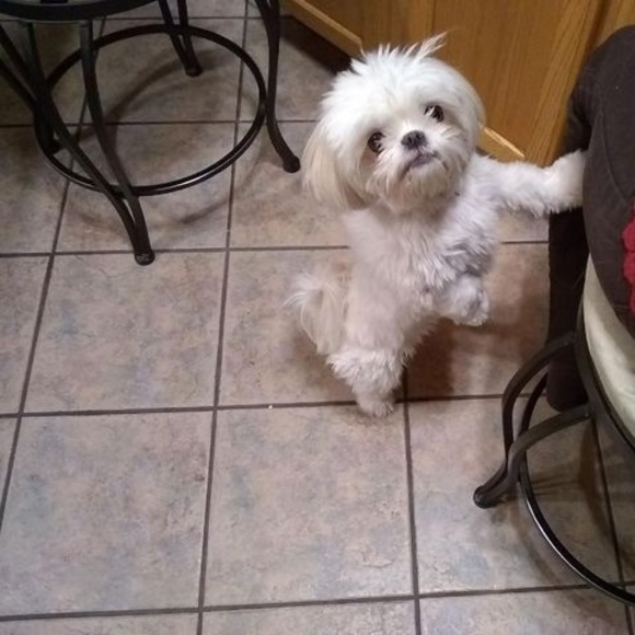 Profile Picture of Kim Witt (@kimwitt754) on Poshmark