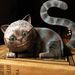 Profile Picture of Ralph Lundgren (@ralphlundgren) on Pinterest