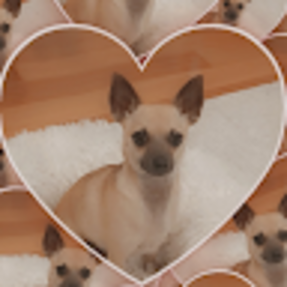 Profile Picture of Lisa Kong (@lisajkong) on Poshmark