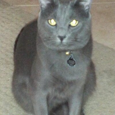 Profile Picture of CHASE MURPHY (@chasemurphy18) on Twitter
