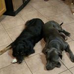 Profile Picture of Robert Jezyk (@bjezyk) on Instagram