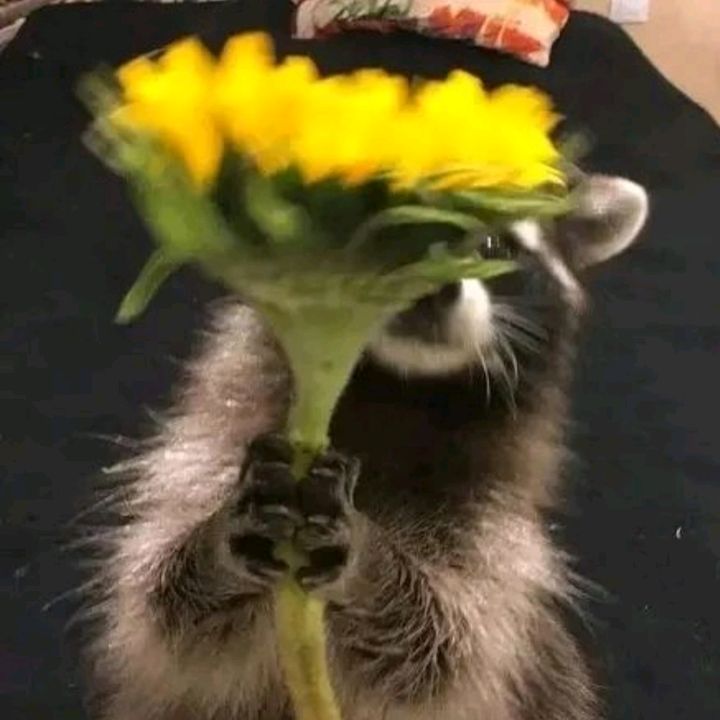 Profile Picture of Caleb_Müller (@caleb_muller678) on Tiktok