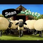 Profile Picture of Sean.the.sheep (@sean.the.sheap) on Instagram