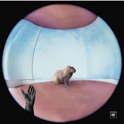 Profile Picture of Aisha John (@aishajohn8657) on Youtube