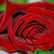 Profile Picture of Shazia Mohsin (@shaziamohsin9083) on Youtube