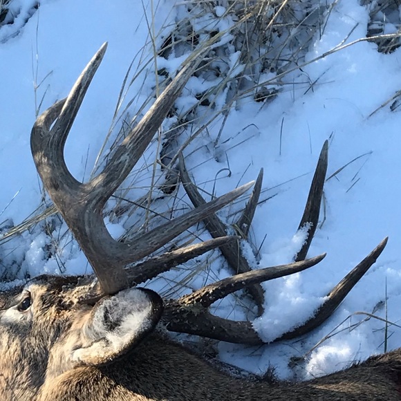 Profile Picture of Brett Boyles (@honda1123) on Poshmark