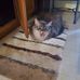 Profile Picture of Laura Holcomb (@laura.holcomb.543) on Facebook