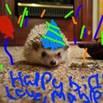 Profile Picture of Meaghan Pradt (@meaygahhanfox) on Instagram