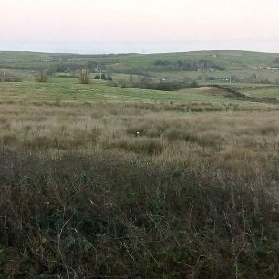 Profile Picture of Andrew Darbyshire (@AndrewDarbyshi3) on Twitter