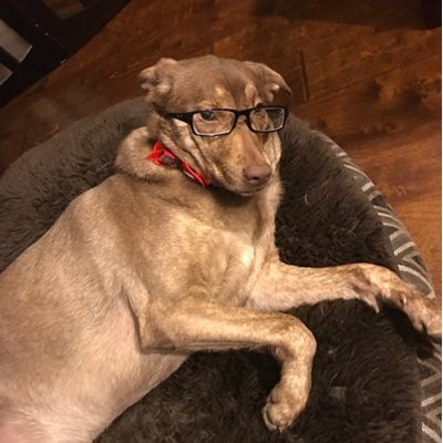 Profile Picture of Michael Beshay (@Mbeshay01) on Twitter