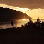 Profile Picture of Steve Wheeler (@wildnl) on Instagram