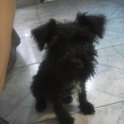 Profile Picture of Lucia R Palomo (@luciardzpalomo) on Twitter