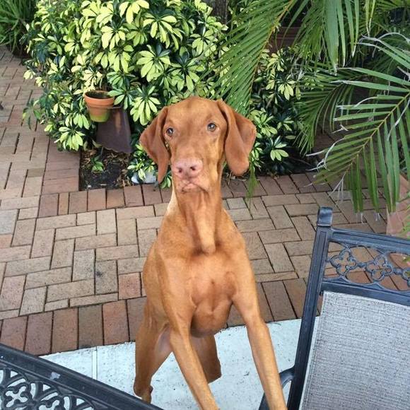 Profile Picture of John Reinhold (@johnseminole) on Poshmark