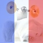 Profile Picture of Leynaert Laurent (@leynaertlaurent) on Instagram