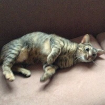 Profile Picture of Michael Mortimer (@Mike_mort_) on Twitter