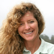 Profile Picture of Nancy Wilkins-Diehr (@nancywilkins-diehr8023) on Youtube