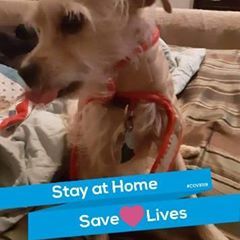 Profile Picture of Julia Brooks (@juliabrooks73) on Tiktok