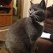 Profile Picture of Nancy McNabb (@gill13013) on Pinterest