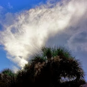 Profile Picture of John Zurfluh (@johnzurfluh1543) on Youtube