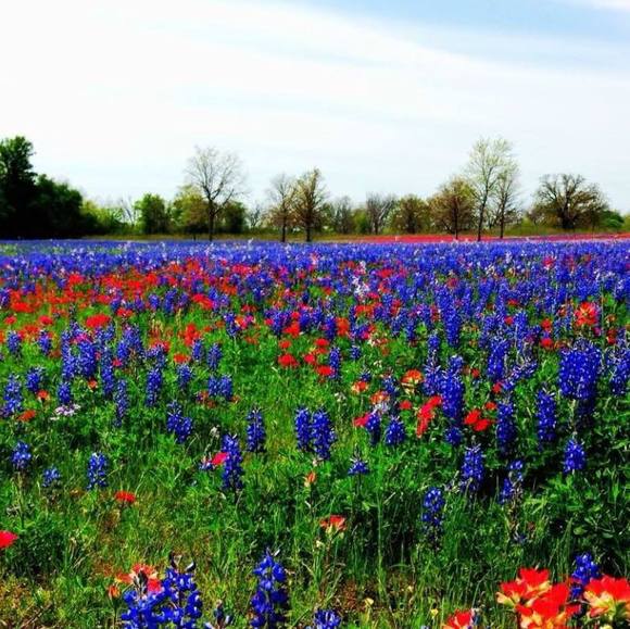 Profile Picture of Michael Michaela (@mrothe) on Poshmark