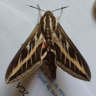 Profile Picture of Robert Cramp (@CrampRobert) on Twitter