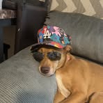 Jonathan Corcoran - Facebook Profile Picture of Jonathan Corcoran (@jonathan.corcoran.2025) on Facebook