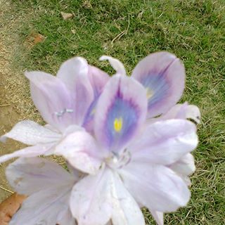 Profile Picture of Yahya Malik (@Yahya-Malik) on Facebook