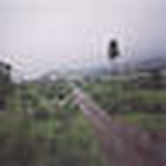 Profile Picture of Whitejade (@whitejade) on Flickr