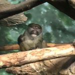 Profile Picture of Zion wilson chambers (@zion_uhhh) on Instagram