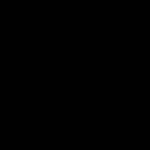 Profile Picture of Shianne Vanmorter (@shianevanmorter) on Poshmark