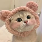 Profile Picture of Naph Phillip (@naph.phillip) on Facebook