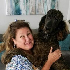 Profile Picture of Pam TerKasarian (@pam.terkasarian) on Tiktok