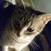 Profile Picture of Sandra Fowble (@sandra.fowble) on Facebook