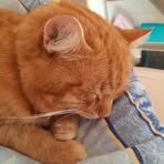 Profile Picture of Paula Steinhuber (@paula.steinhuber.7) on Facebook