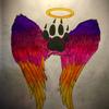 Profile Picture of Frank Caldera (@@frankcaldera6) on Tiktok